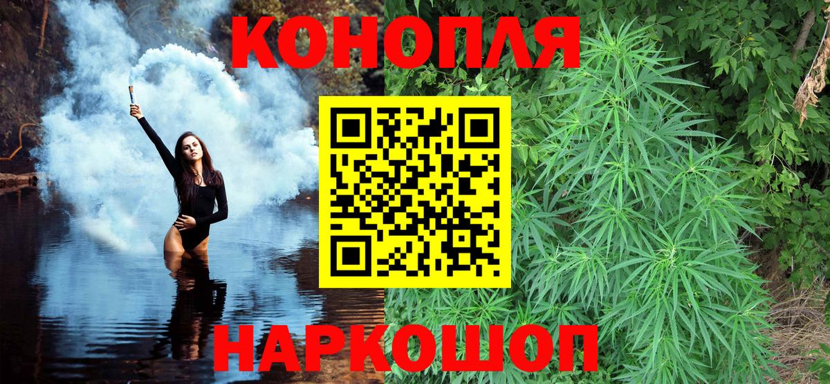 Конопля планчик Лабинск